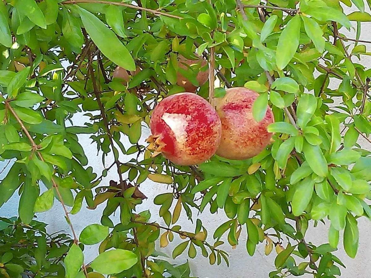 הוילה Antigua Vaqueria De Quijorna מראה חיצוני תמונה